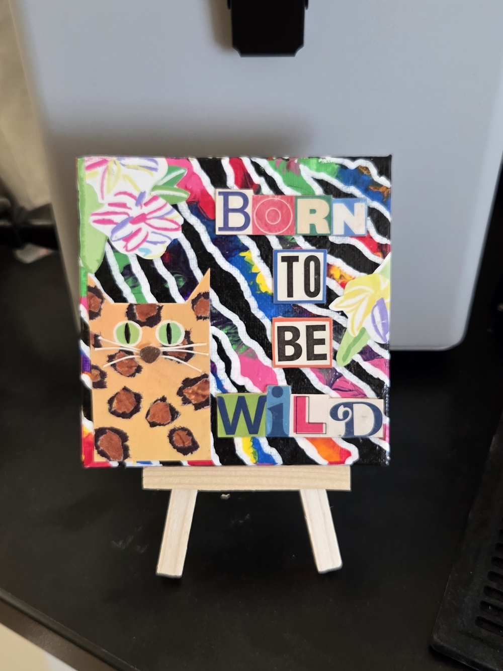 Born to Be Wild Colorful Cat Art Canvas